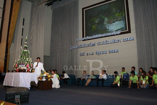 MCT092 Copy.JPG